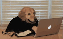 Optimizando...